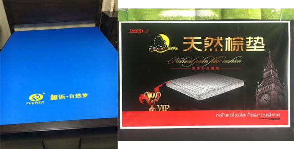 蘑菇免费视频